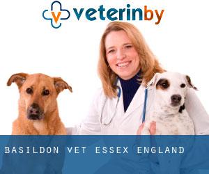 Basildon vet (Essex, England)