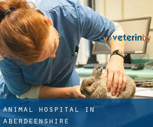 Animal Hospital in Aberdeenshire