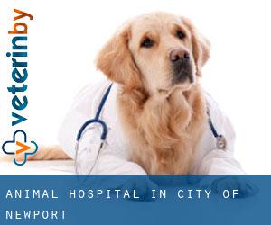 Animal Hospital in City of Newport