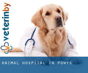 Animal Hospital in Powys