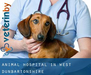 Animal Hospital in West Dunbartonshire