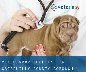 Veterinary Hospital in Caerphilly (County Borough)