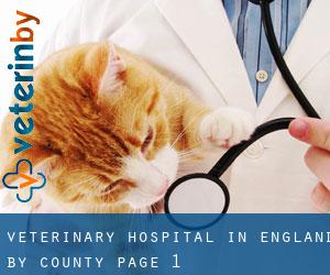 Veterinary Hospital in England by County - page 1