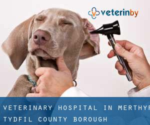 Veterinary Hospital in Merthyr Tydfil (County Borough)