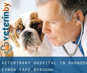 Veterinary Hospital in Rhondda Cynon Taff (Borough)