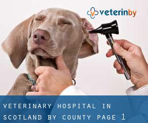 Veterinary Hospital in Scotland by County - page 1