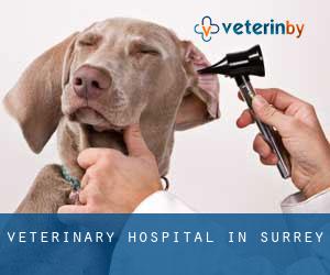 Veterinary Hospital in Surrey