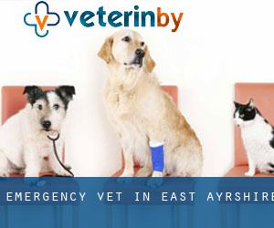 Emergency Vet in East Ayrshire