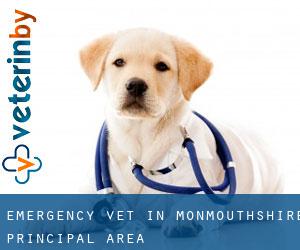 Emergency Vet in Monmouthshire principal area