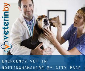 Emergency Vet in Nottinghamshire by city - page 1