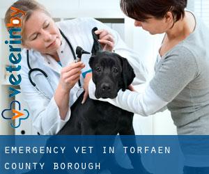 Emergency Vet in Torfaen (County Borough)
