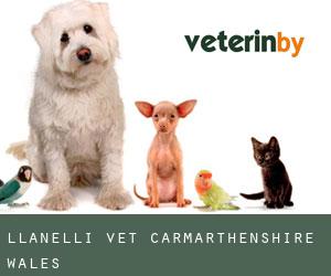 Llanelli vet (Carmarthenshire, Wales)