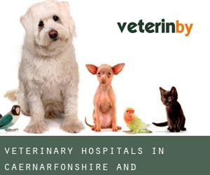 veterinary hospitals in Caernarfonshire and Merionethshire (Cities) - page 1