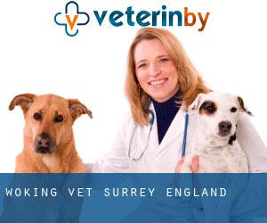 Woking vet (Surrey, England)