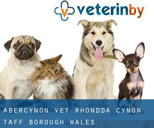 Abercynon vet (Rhondda Cynon Taff (Borough), Wales)