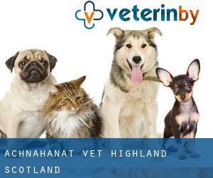 Achnahanat vet (Highland, Scotland)
