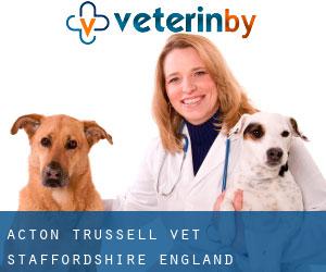 Acton Trussell vet (Staffordshire, England)