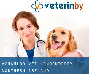 Aghanloo vet (Londonderry, Northern Ireland)