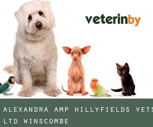 Alexandra & Hillyfields Vets Ltd (Winscombe)