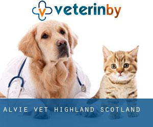 Alvie vet (Highland, Scotland)