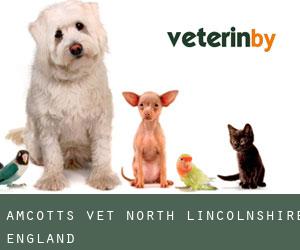 Amcotts vet (North Lincolnshire, England)