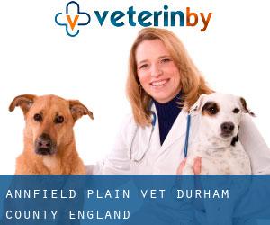 Annfield Plain vet (Durham County, England)