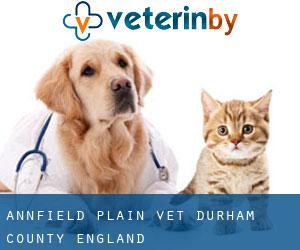 Annfield Plain vet (Durham County, England)