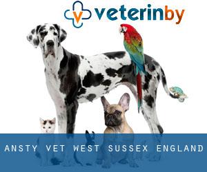 Ansty vet (West Sussex, England)