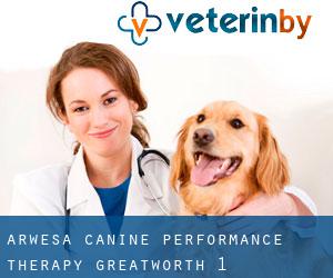 Arwesa Canine Performance Therapy (Greatworth) #1