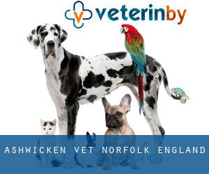 Ashwicken vet (Norfolk, England) Ashwicken vet (Norfolk, England)