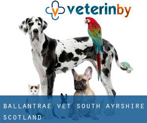 Ballantrae vet (South Ayrshire, Scotland)