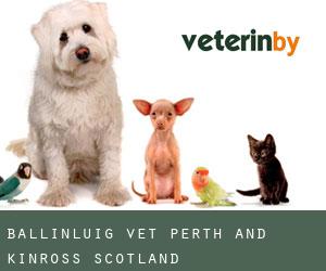 Ballinluig vet (Perth and Kinross, Scotland)