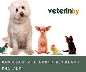 Bamburgh vet (Northumberland, England)