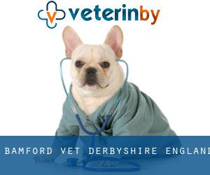 Bamford vet (Derbyshire, England)