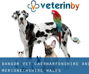 Bangor vet (Caernarfonshire and Merionethshire, Wales)