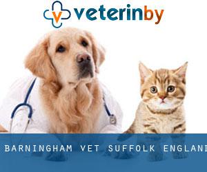 Barningham vet (Suffolk, England)