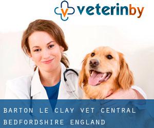 Barton-le-Clay vet (Central Bedfordshire, England)