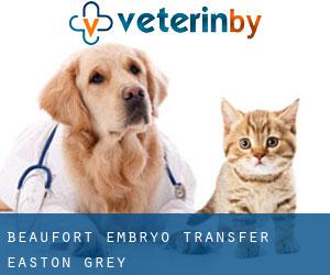 Beaufort Embryo Transfer (Easton Grey)