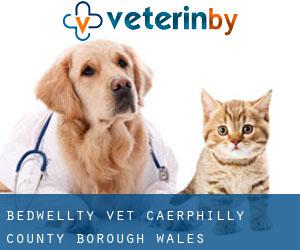 Bedwellty vet (Caerphilly (County Borough), Wales)