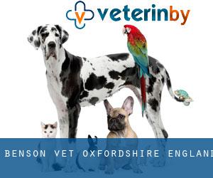 Benson vet (Oxfordshire, England)