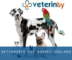 Betchworth vet (Surrey, England)