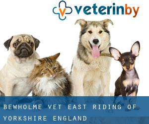 Bewholme vet (East Riding of Yorkshire, England)