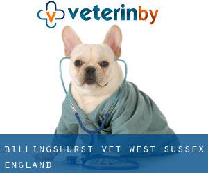 Billingshurst vet (West Sussex, England)