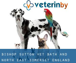 Bishop Sutton vet (Bath and North East Somerset, England)