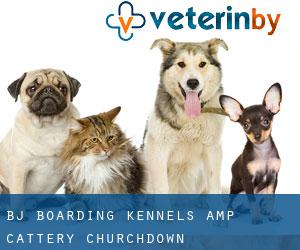 B.J. Boarding Kennels & Cattery (Churchdown)
