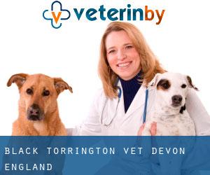 Black Torrington vet (Devon, England)