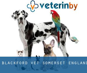 Blackford vet (Somerset, England)