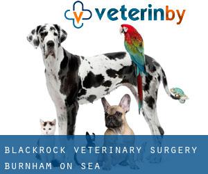 Blackrock Veterinary Surgery (Burnham-on-Sea)