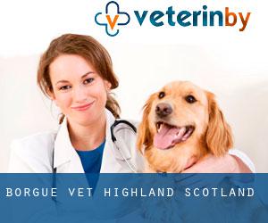 Borgue vet (Highland, Scotland)