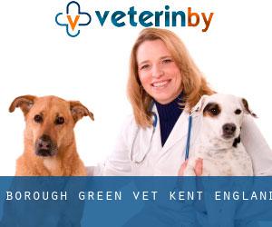 Borough Green vet (Kent, England)